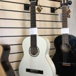 ORTEGA Guitares Cordes Nylon Family Série R121WH