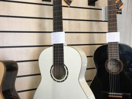 ORTEGA Guitares Cordes Nylon Family Série R121WH-illustration